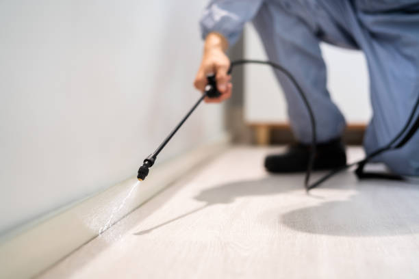 Bed Bug Pre-Treatment Preparation Assessment in Flowing Wells