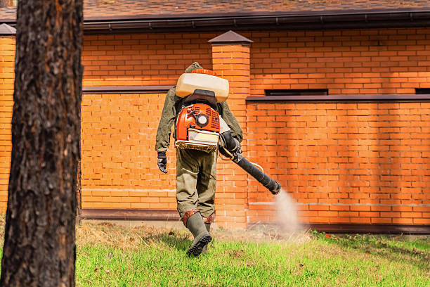 Bed Bug Clearance Verification and Documentation in Flowing Wells